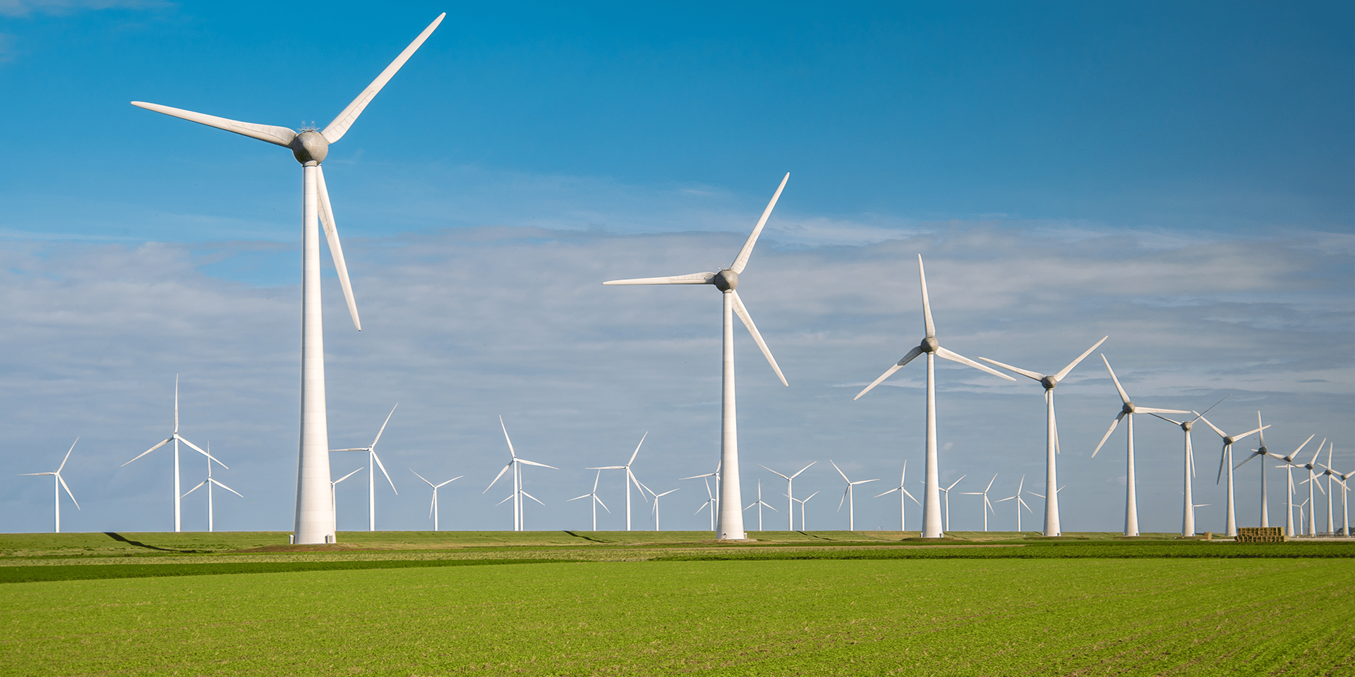 wind turbines land